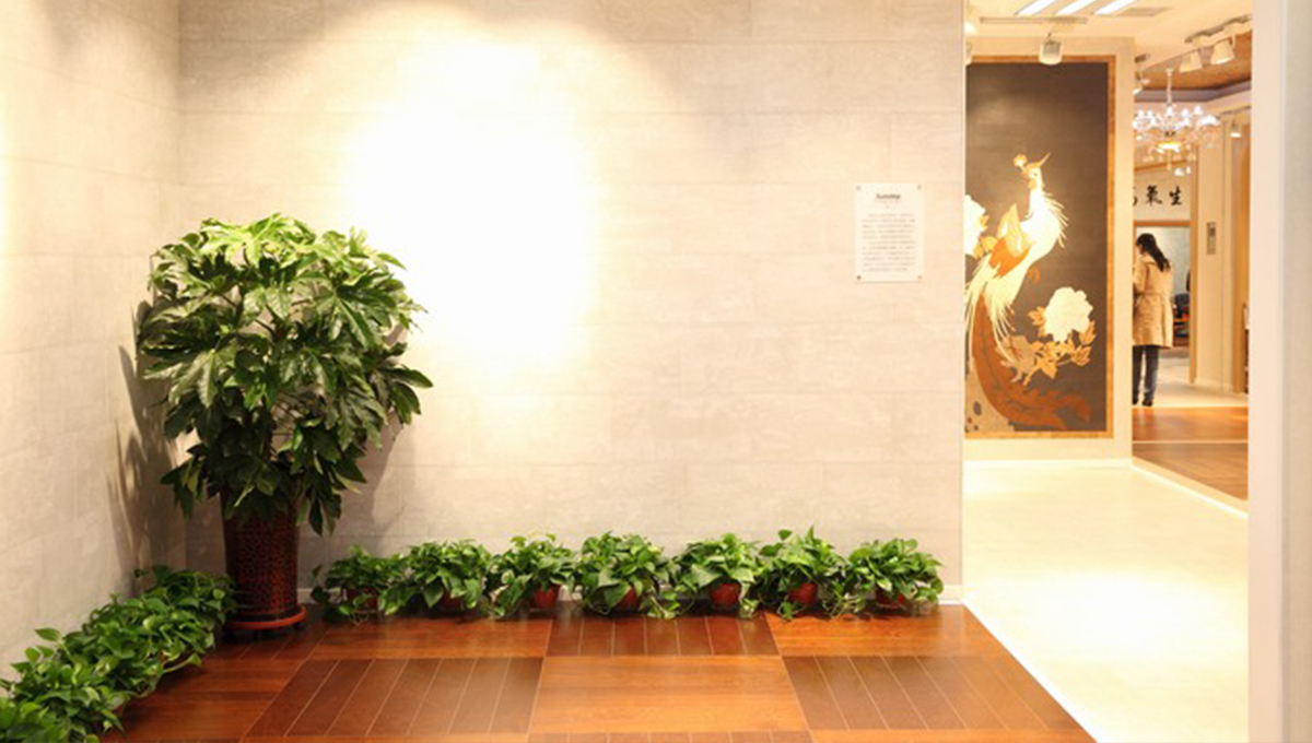 創新發展，永不止步 4