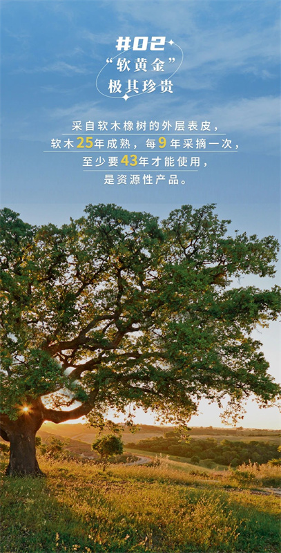 無懼挑剔眼光，裝飾材料的天花板！ image4