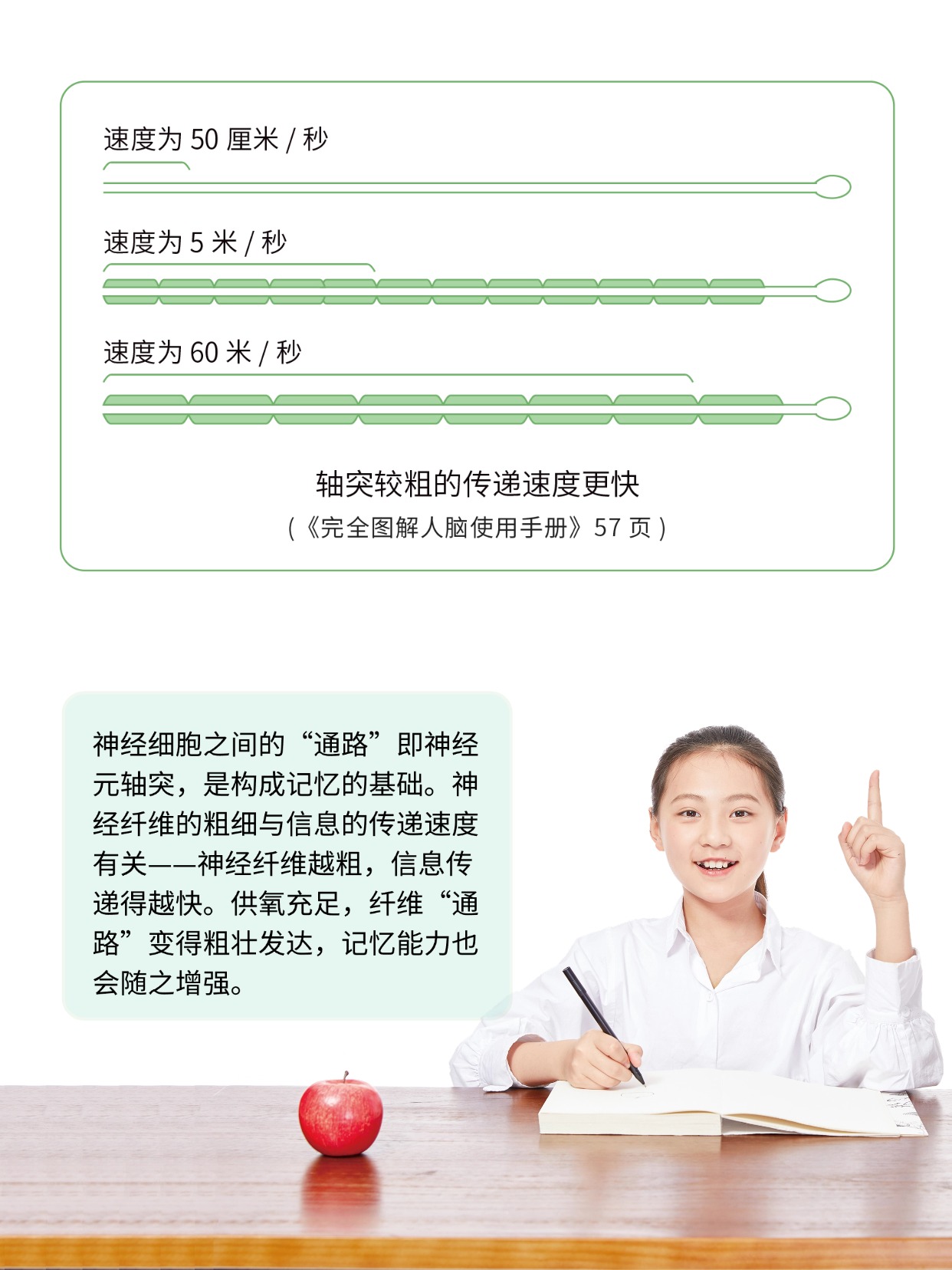 你聽說過能補氧的桌子嗎？有娃家庭直接抄作業 圖片8
