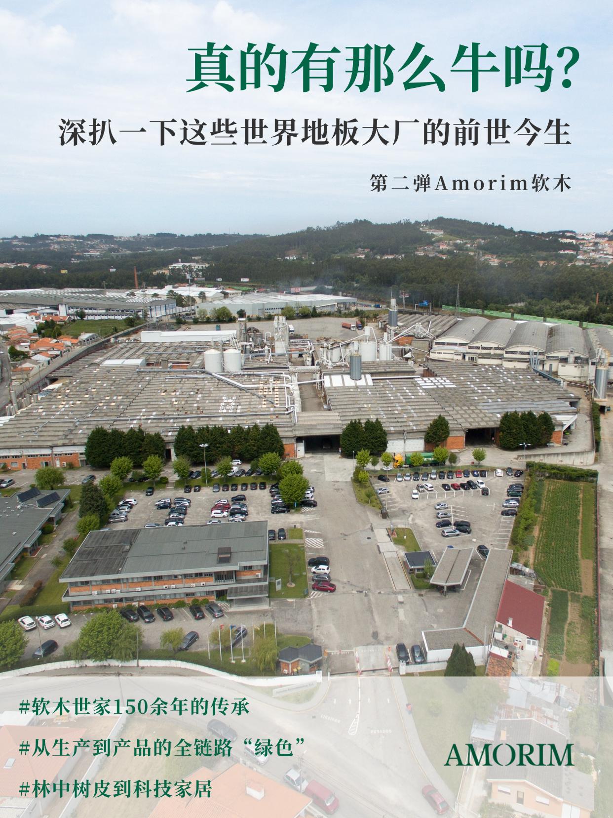 真的有那麽牛嗎？深扒一下這些世界地板大廠的前世今生 圖片4