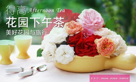 茄子视频色版在线观看花園下午茶，聆聽"美好花園與旅行"
